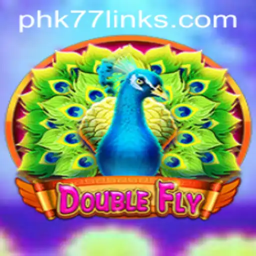 DoubleFly: The Ultimate Gaming Experience